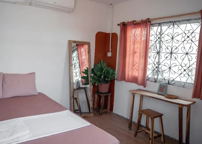 Sacred Lotus - Vegan Cafe X Hostel